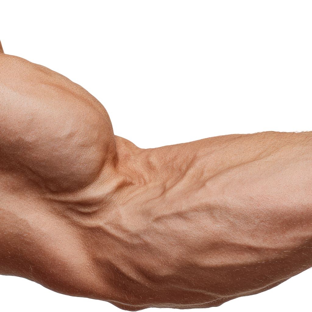 Weight Gain Phakki – Traditional Herbal Formula for Healthy Weight Increase